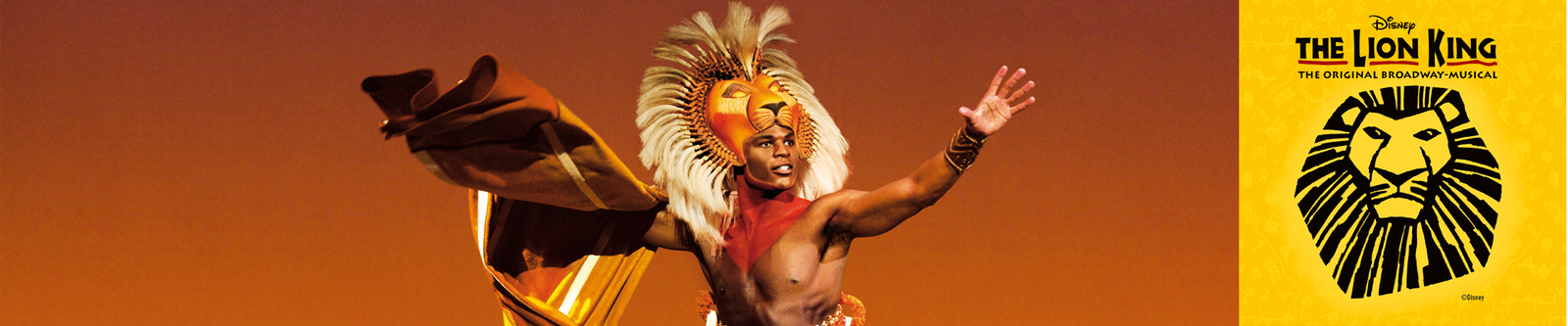 The Lion King Tickets